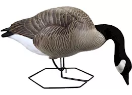 Beavertail Boats and Decoys Dominator series full body decoys sentry 4 pack