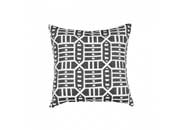 Astella Pacifica 18” x 18” Accent Throw Pillow in Roland - Charcoal