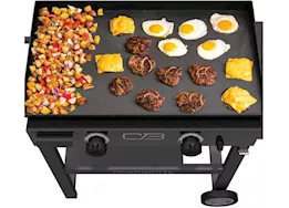 Char-Broil Performance Series 28" 2 Burner Gas Griddle w/ Cart and Hard Cover | 463814025
