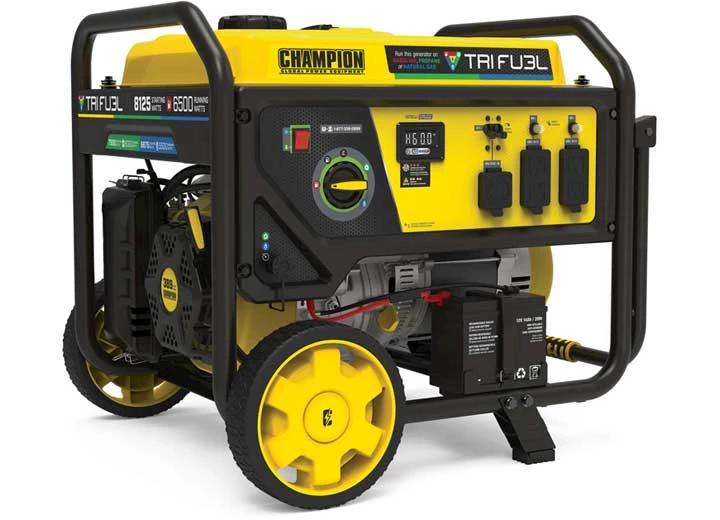 Champion Power Equipment 6500-WATT NATURAL GAS WITH CO SHIELD AND CARBON MONOXIDE AUTO SHUTOFF SYSTEM. TR