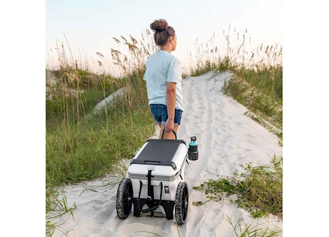 Camco Cart for Coolers up to 17.5" Wide | 51798