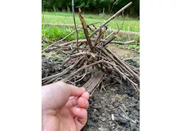 Camco Firestarter Sticks - Pack of 12