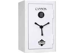 Cannon Security Products Cannon fortified 60 min. fire-resistant home safe