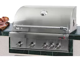 Dragon Fire 32" Stainless Steel Grill Head - Propane Gas