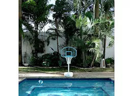 Dunn-Rite Products Inc Clear shot stainless portable and adjustable poolside basketball set