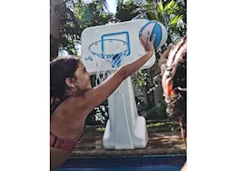 Dunn-Rite Products Inc Poolsport stainless basketball & volleyball combo