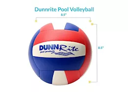 Dunn-Rite Products Inc Regulation-size inground pool volleyball set