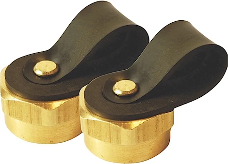 ENERCO PROPANE 1IN 20 THREAD BRASS CAPS (2 PACK) CLAMSHELL