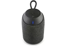 ECOXGEAR EcoRoam 10 Bluetooth Speaker