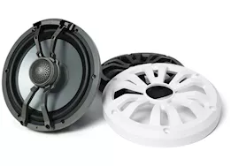 EcoXGear Marine grade wired speaker 8in pair with ledcast