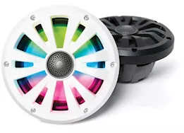 EcoXGear Marine grade wired speaker 8in pair with ledcast