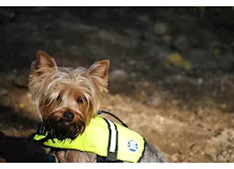 Paws Aboard Dog Life Jacket, Neon Yellow, XXS