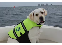 Paws Aboard Dog Life Jacket, Neon Yellow, Small