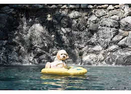 Paws Aboard Dog Raft, Large