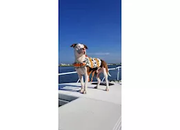 Fido Pet Products Xxs - orange camo neoprene dog life jacket