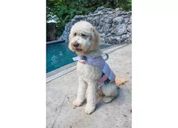 Fido Pet Products S - pink gray polka dot neoprene dog life jacket