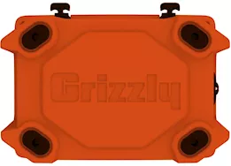 Grizzly Coolers Grizzly 20 qt cooler orange