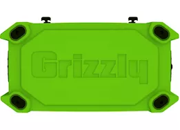 Grizzly Coolers Grizzly 60 qt cooler lime green