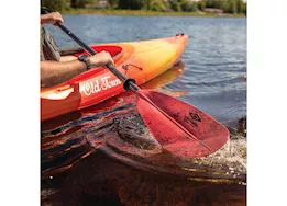 Carlisle 250 cm Magic Plus Kayak Paddle - Black Cherry/Black