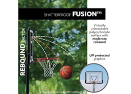Lifetime adjustable in-ground basketball hoop (50-inch polycarbonate)