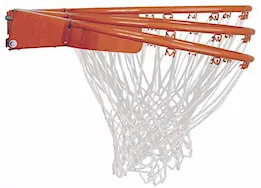 Lifetime Adjustable Portable Basketball Hoop - 54 inch Acrylic|71522