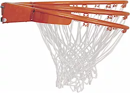 Lifetime Adjustable In-Ground Basketball Hoop - 54-inch Acrylic