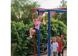 Lifetime big stuff deluxe swing set (primary)