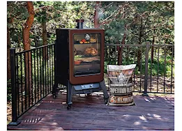 Pit Boss Grills Copperhead 5-Series Vertical Pellet Smoker