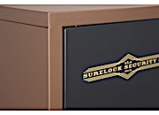 SureLock Single Constitutional 7-Long Gun & Home Cabinet