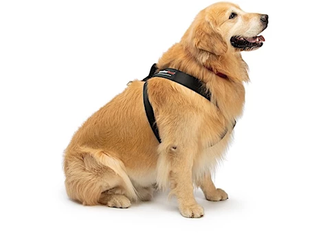 UNIVERSAL TRAVEL SAFE HARNESS BLACK CHEST 24-27 20-35 LBS